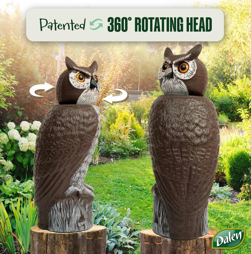 Dalen GARDENEER Dalen Rotating Head Fake Owl Decoy to Scare Birds Away from Gardens, Rooftops, and Patios - Scarecrow Provides Chemical-Free Pest Control - Safe and Humane - 18" 360Âº Rotating Head - Image 3